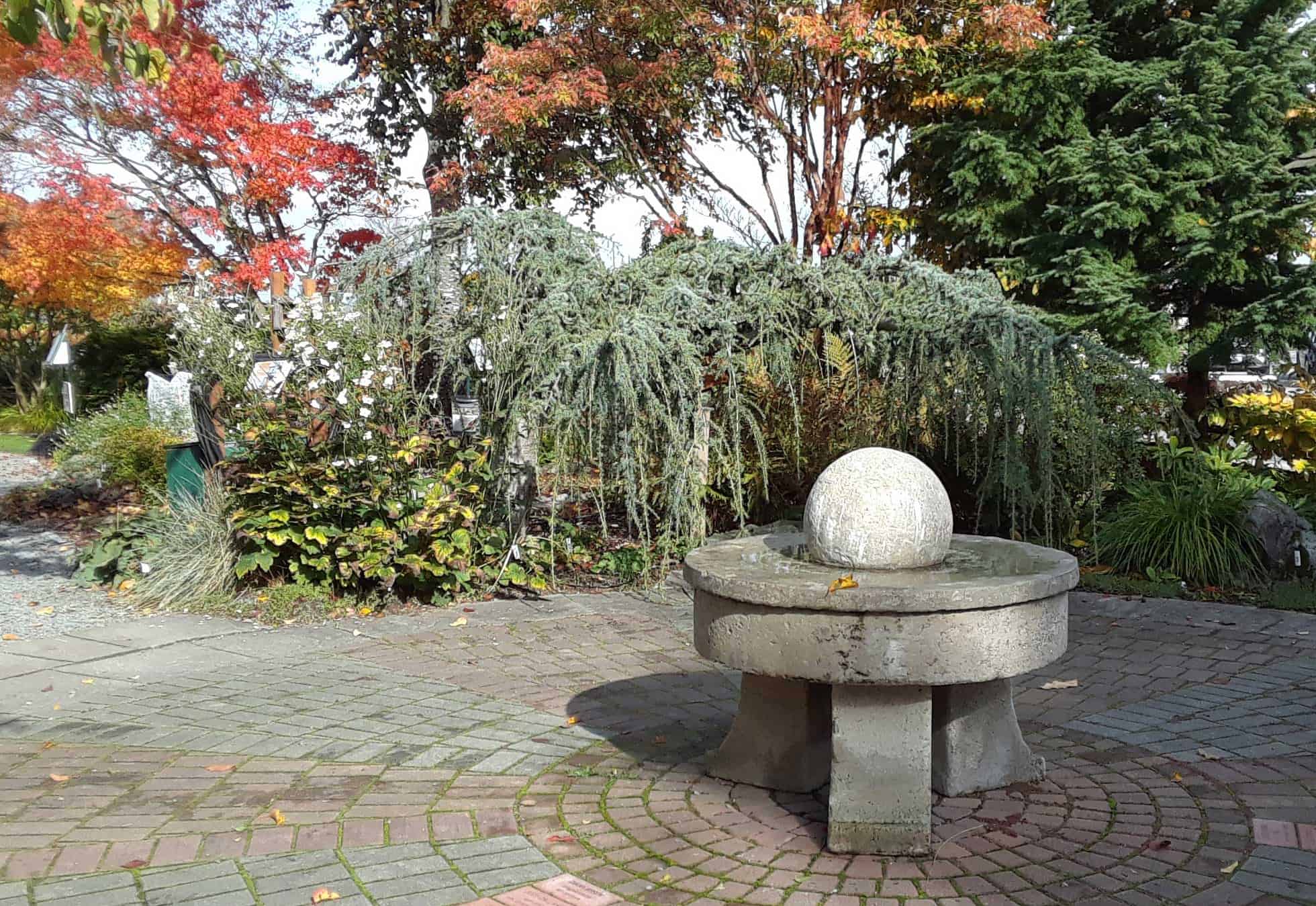 2019-10-22-12.54.52-web 2019-10-22-12.54.52-web