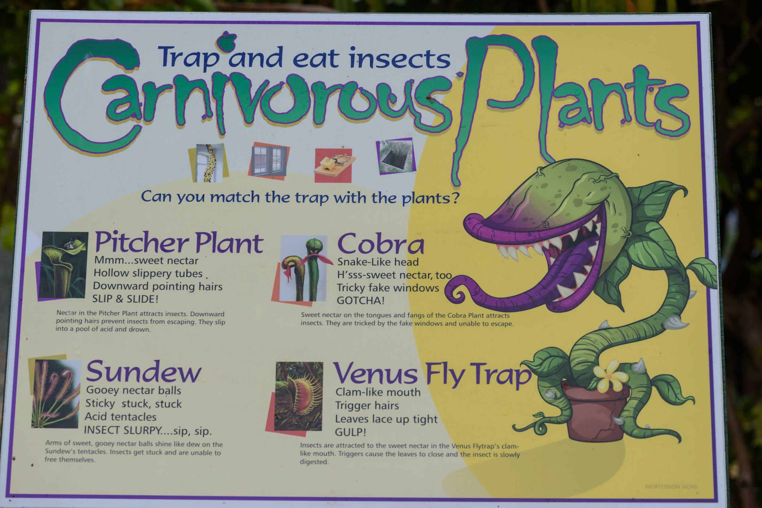 DiscoveryGardenSignage-nkcrowell-carnivorousplants-web