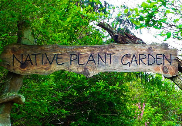 plant-garden-sign