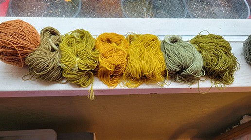 Grow Your Own Natural Dyes