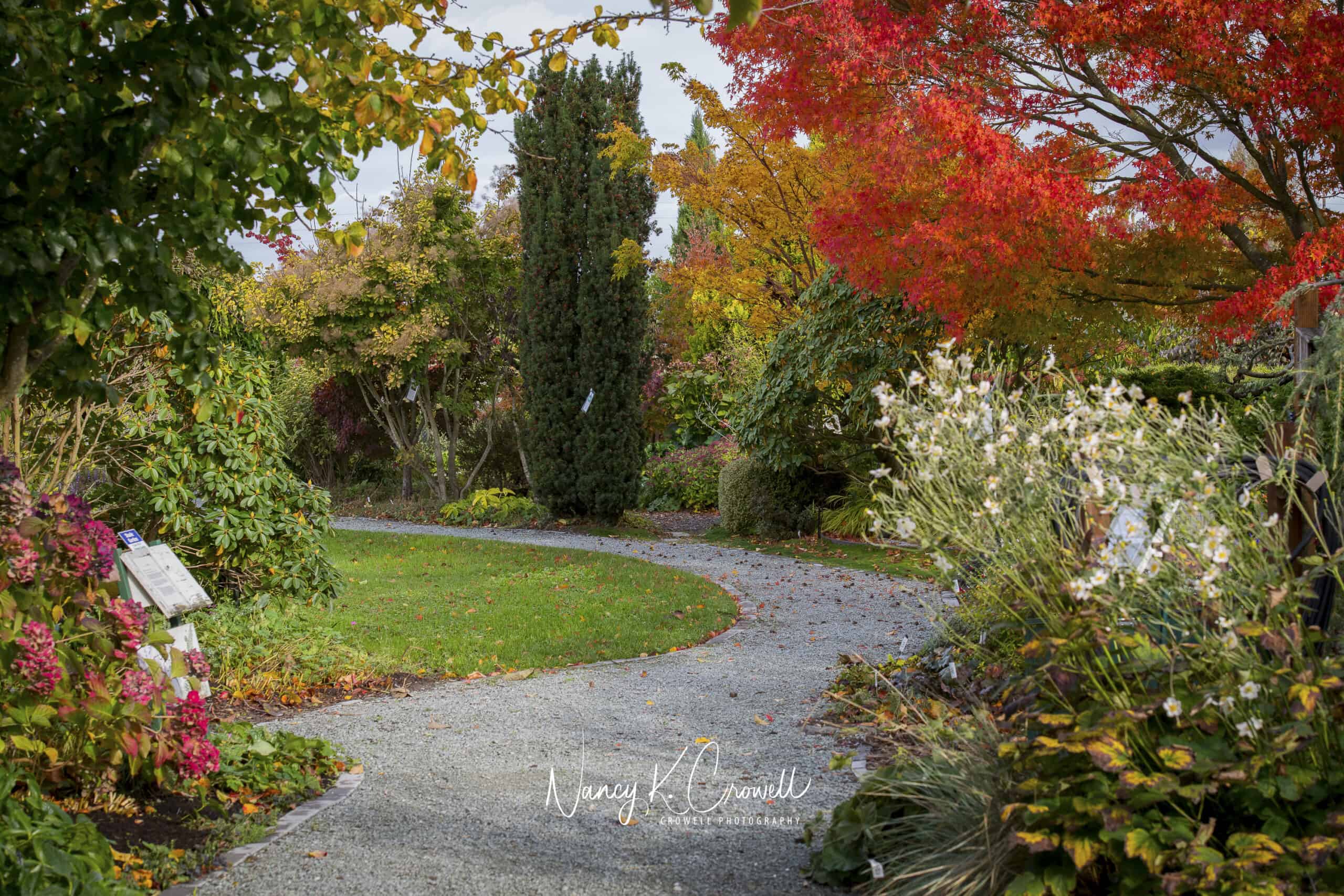 2019_nkcrowell_DiscoveryGarden-6 2019_nkcrowell_DiscoveryGarden-6