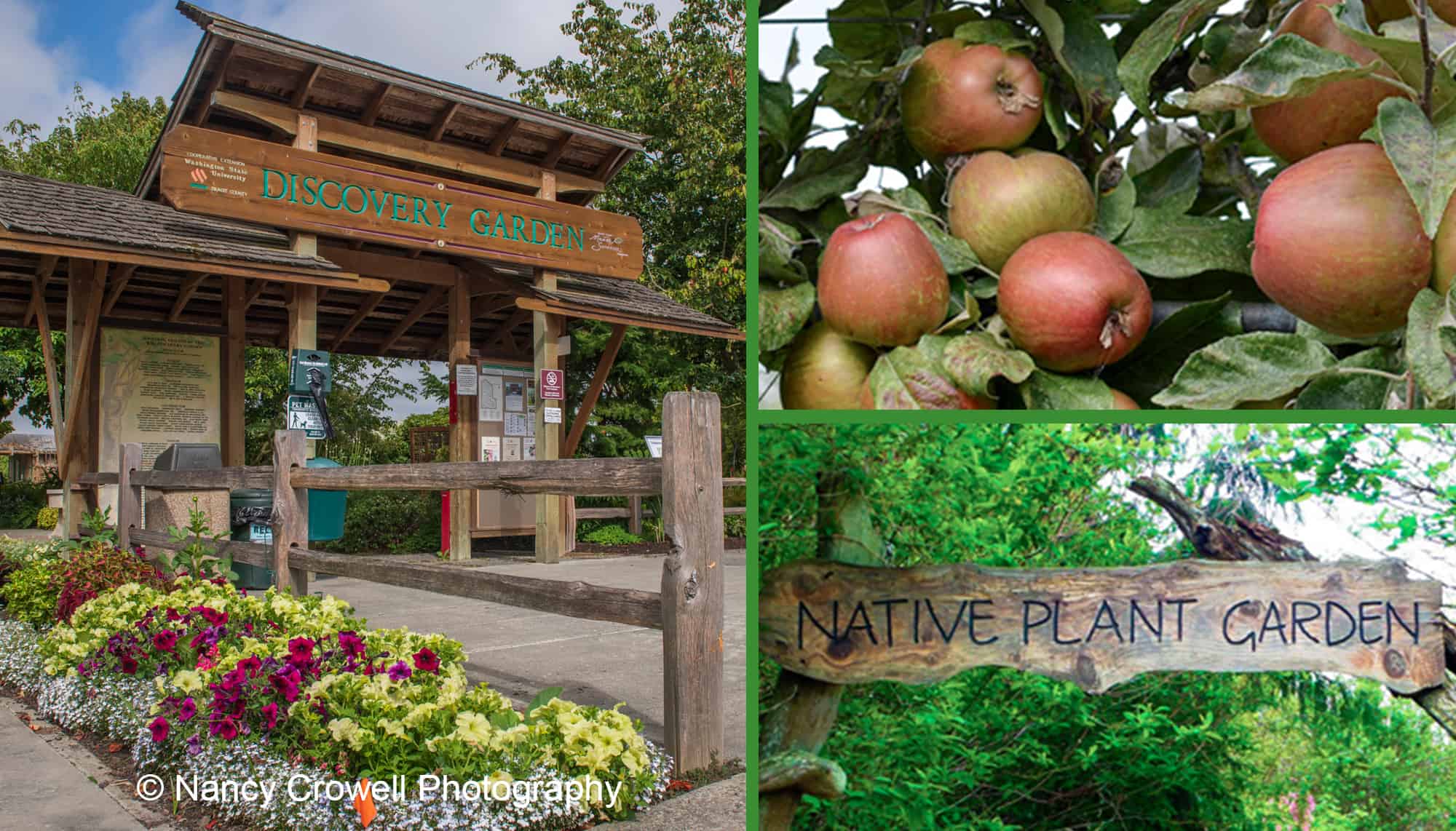 picture of Discovery Garden entrance apples, Salal Native Garden sign