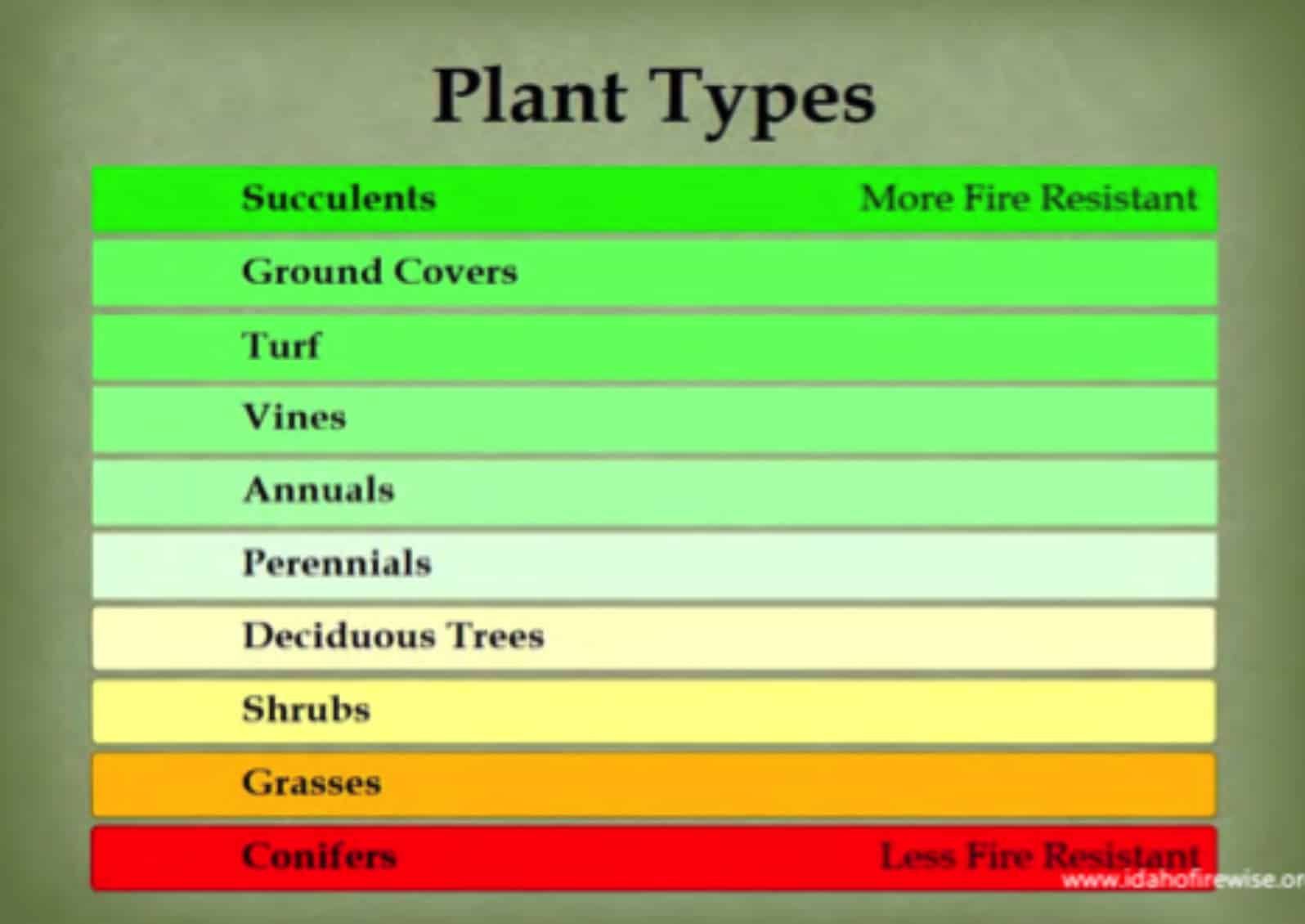 Consider groupings of plants and introduce more diversity of species or varieties to assure more vitality. Photo courtesy of Marlene Finley