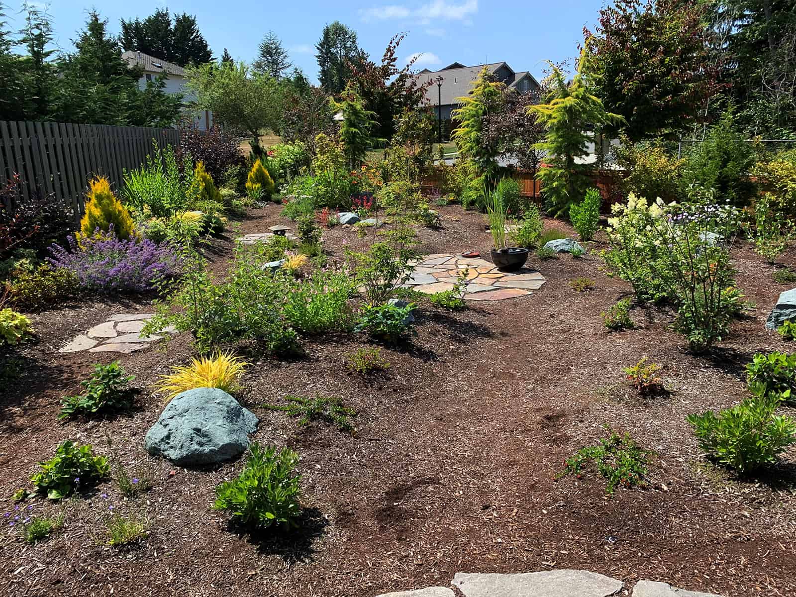 Backyard after conversion to native corridor landscape © Joan Stamm