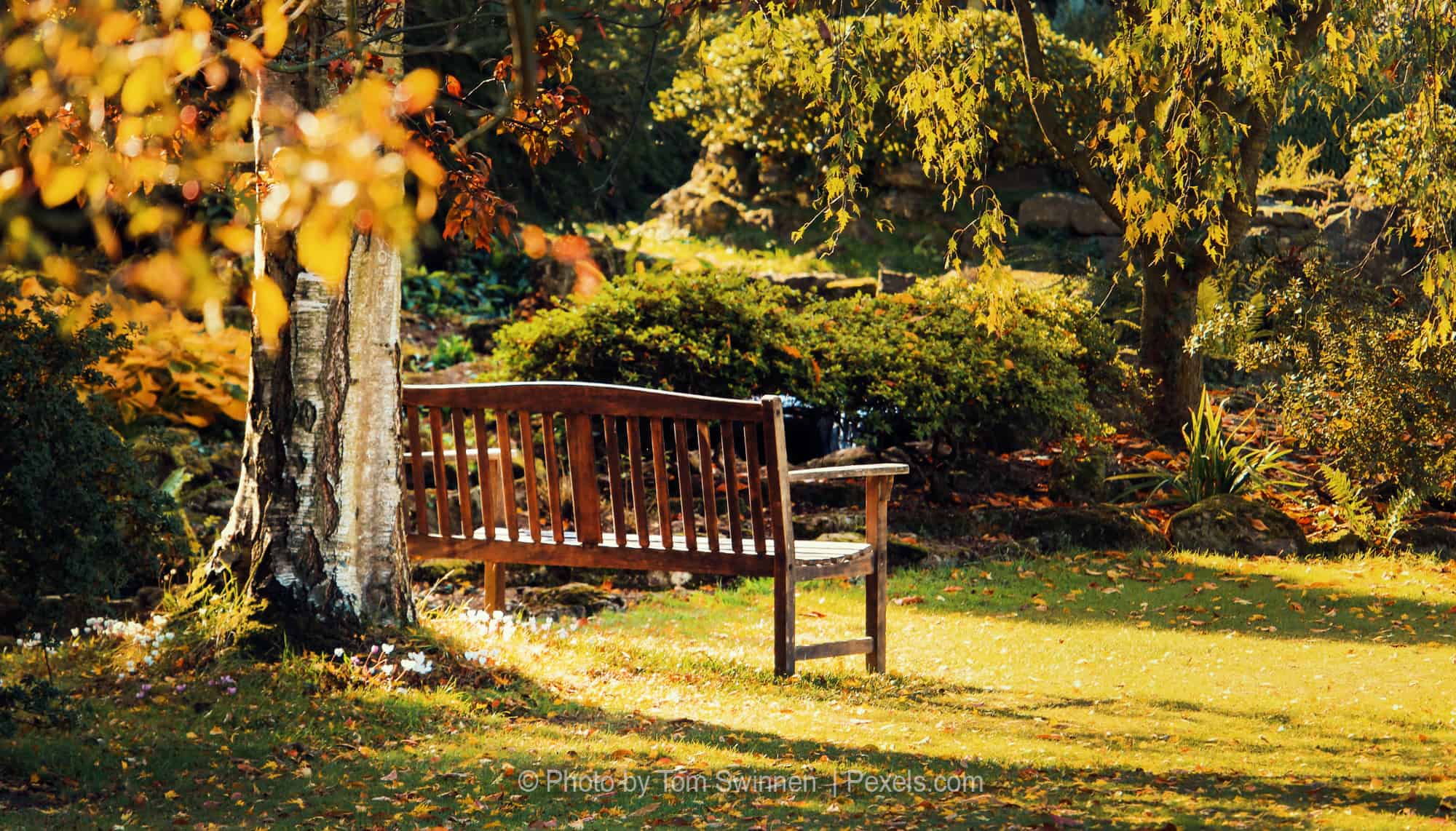 110423_Header2 © Pexels.com
