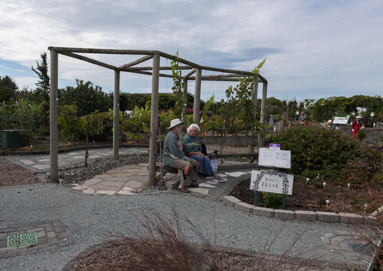 people resting on bench