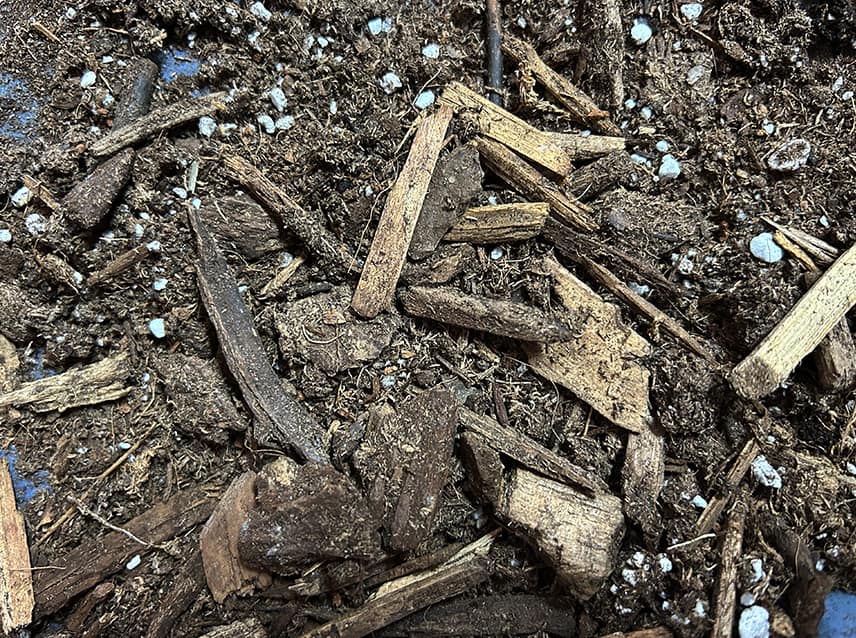 It is surprising how much wood is included in a bag of potting soil. © Skagit County WSU Extension Master Gardeners