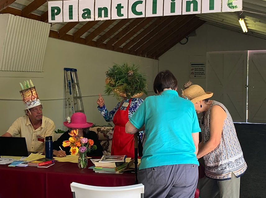 Plant clinic, people discussing plant issues with books