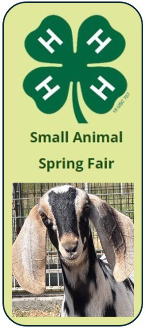 4-H Small Animal Spring Fair
