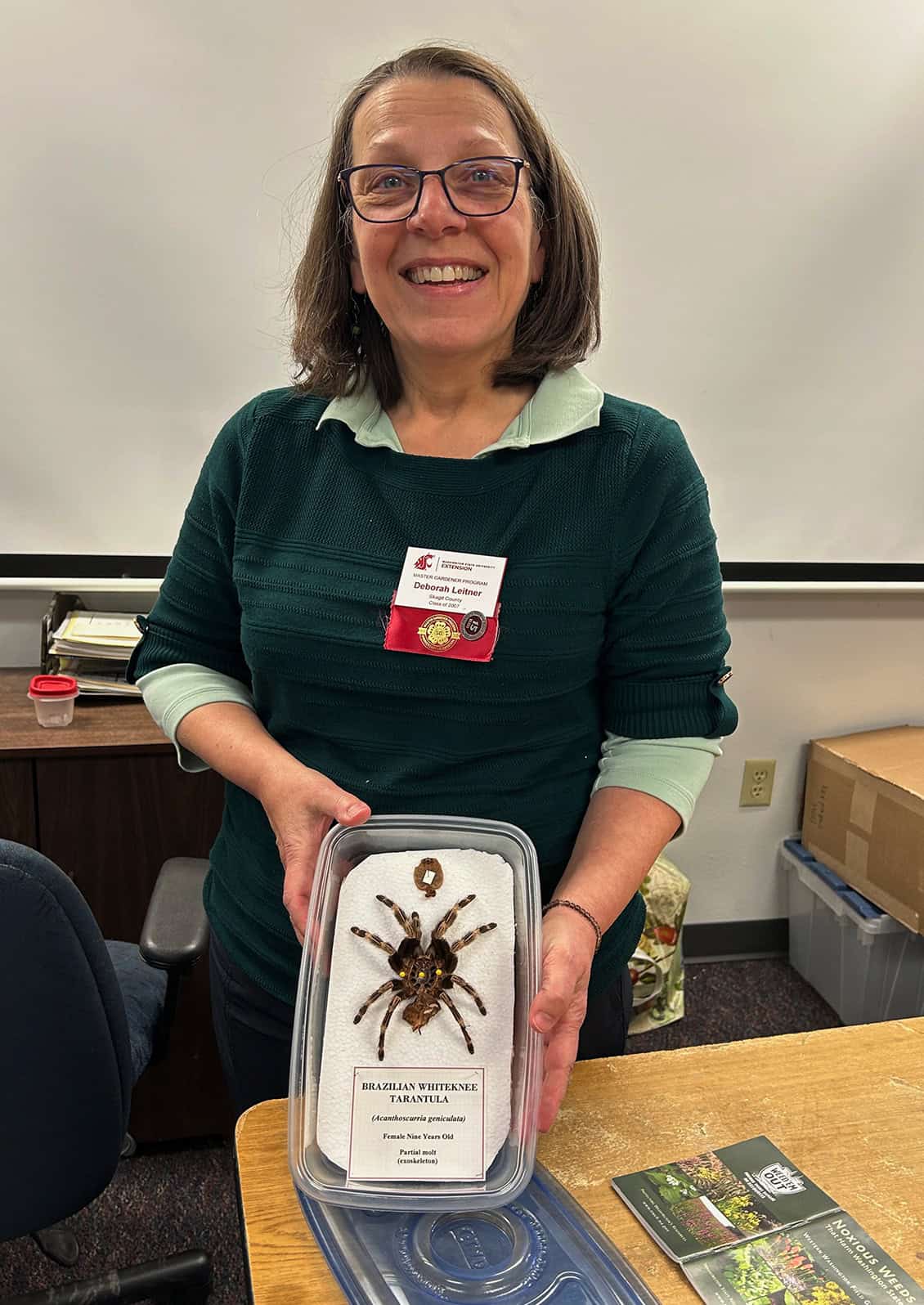 Dr. Eighme's insect collection is maintained and enhanced by Skagit County Master Gardeners and is used to educate the public and to build and share knowledge about insects in our region.  © Skagit County WSU Extension Master Gardeners