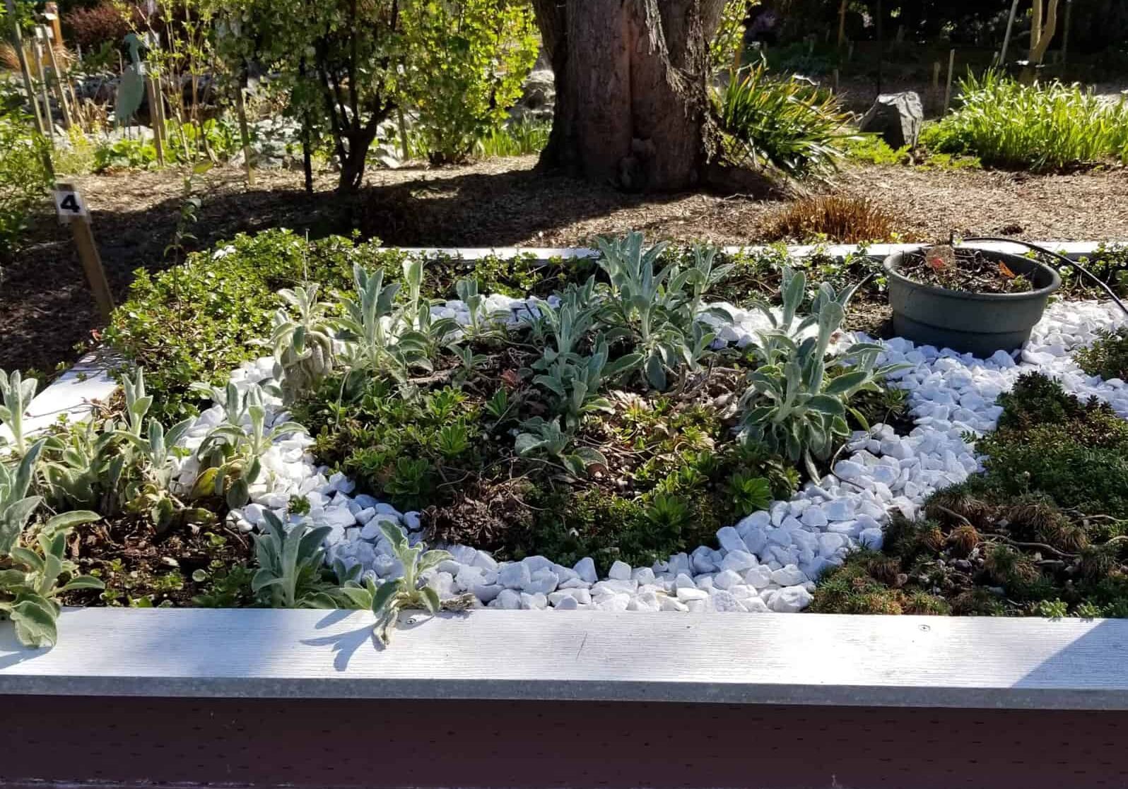 white rocks in raised bed garden