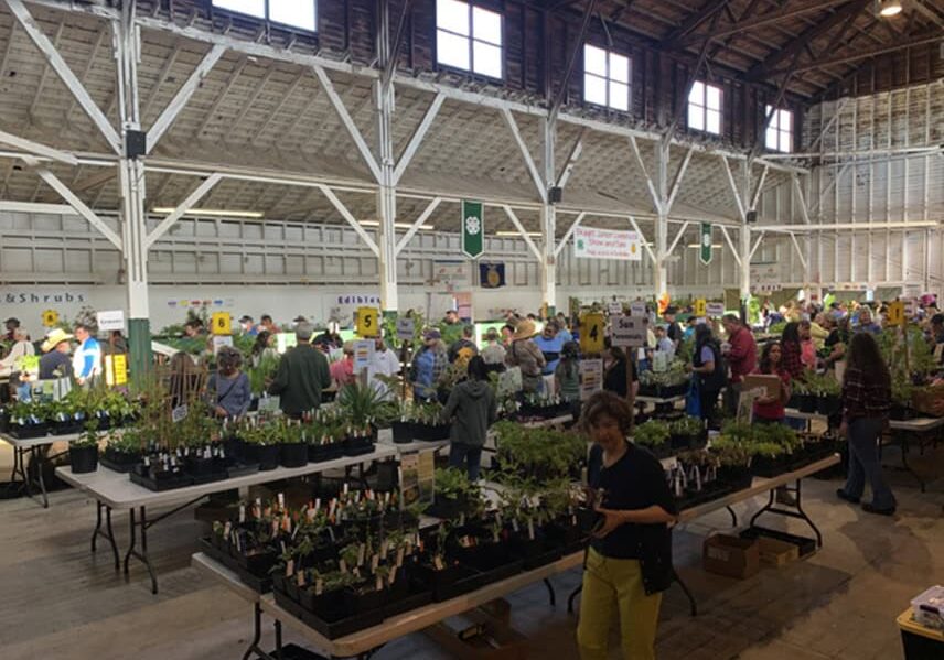 A wide variety of perennials will be available, including many native plant varieties and edibles.
