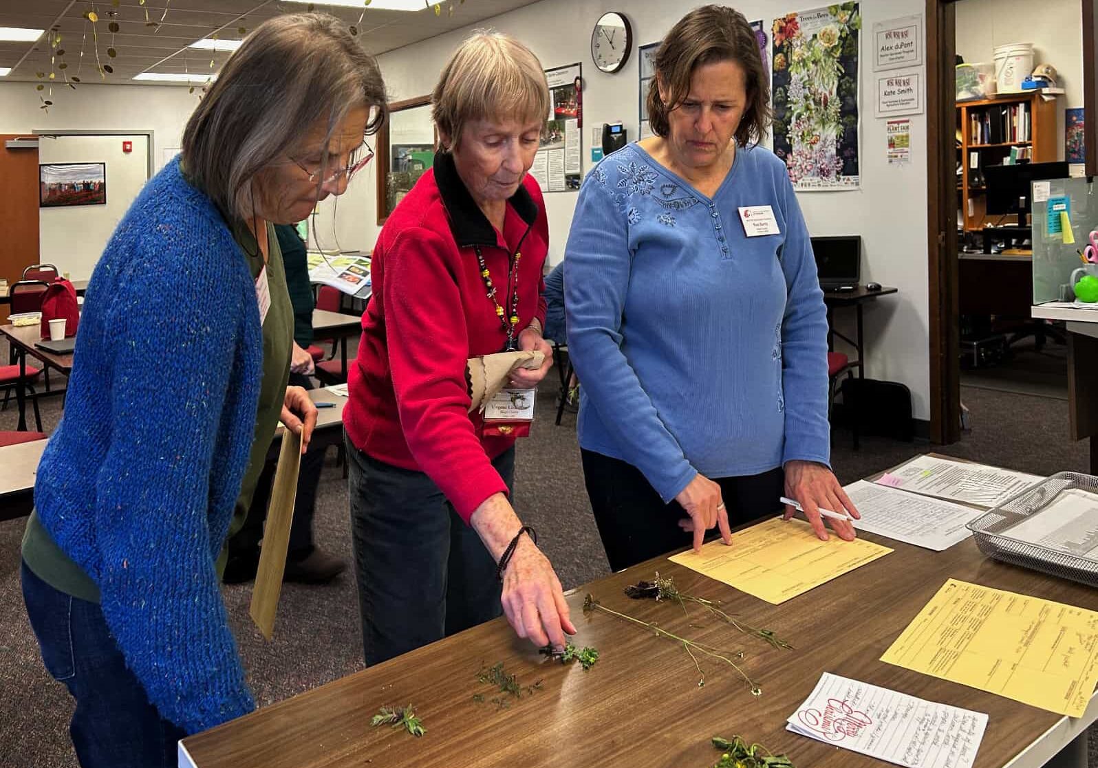 plant clinic volunteers identifying weeds