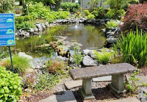 Visit the learning station near the pond in the Naturescape Garden. There you will see Koi fish and learn about pond maintenance and construction as well as drip irrigation.