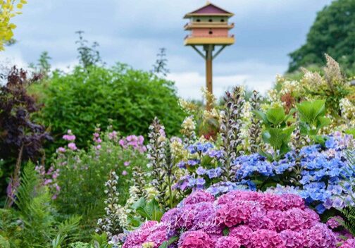 Bring a blanket and picnic lunch and enjoy the day at the Discovery Garden. Photo © Nancy Crowell Photography