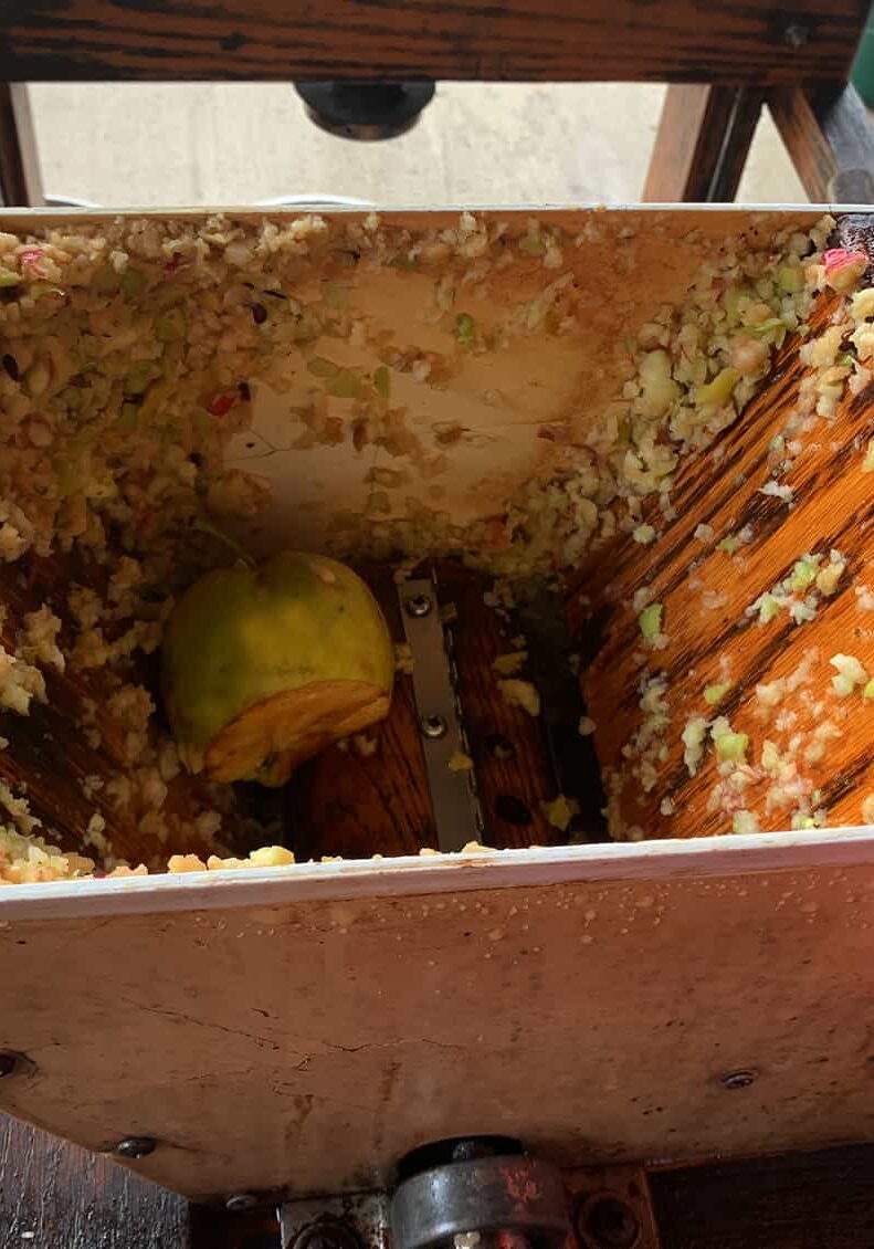 091523_pics2 The apples are ground with a mill prior to pressing. © Ginny Bode
