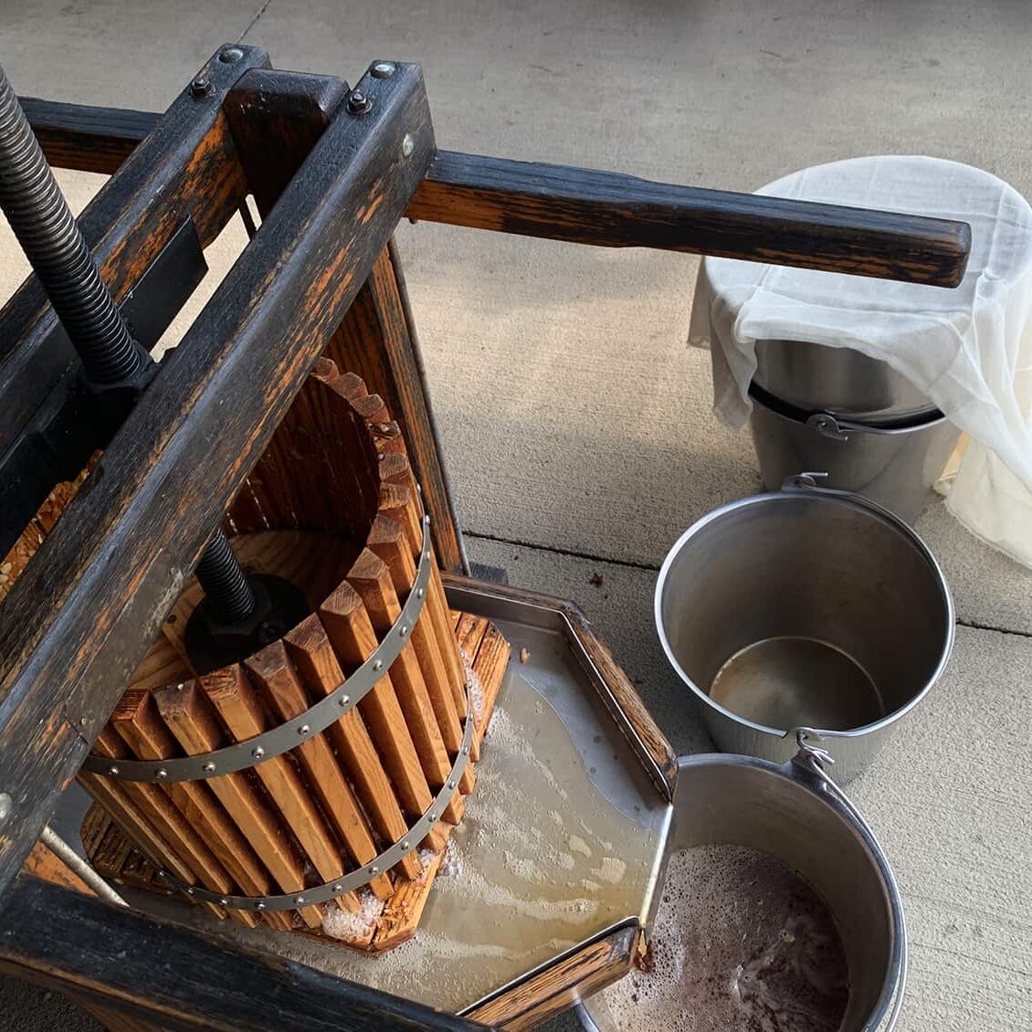 The press bears down on the milled apples to release the juice which flows into food grade containers—in this case, stainless steel buckets. © Ginny Bode