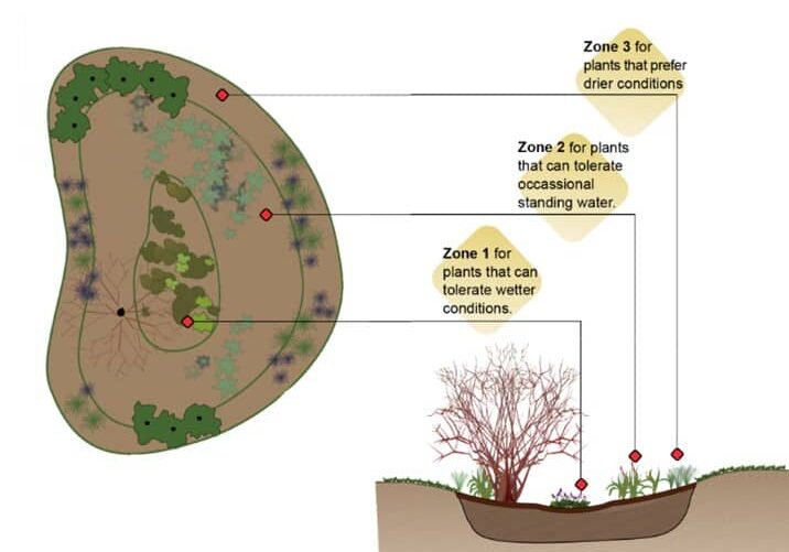 1 raingarden zones When finished, landscaping in wet areas may look much like a rain garden planting; the difference is in the underlying soil type.