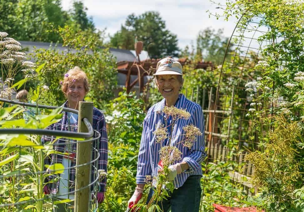 Gardeners know from experience the benefits they feel being in the garden. These moments are what keep us going back season after season, sharing the joy of a nurtured landscape. © Nancy Crowell Photography