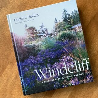 picture of Windcliff book cover