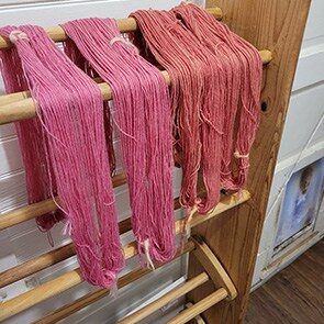 Variety of colors from one dye source. Yarns drying on rack